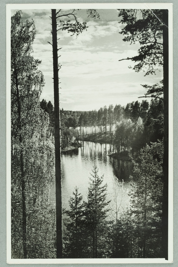 Near Runeberg's rubber to the Bay between Taka and Lammasharjui