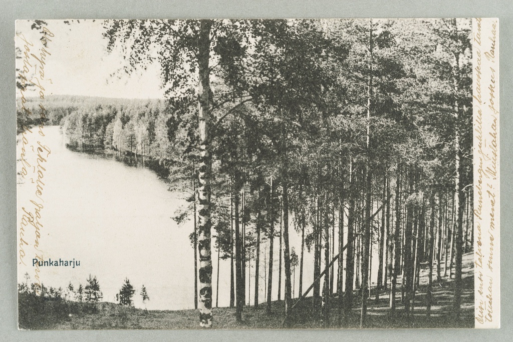 View line: Pöllänlampi-Pentinniemi-Kuikonniemi