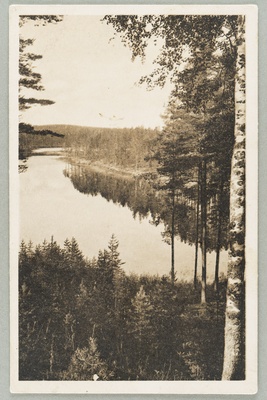 View line: Pöllänlampi-Pentinniemi-Kuikonniemi  duplicate photo
