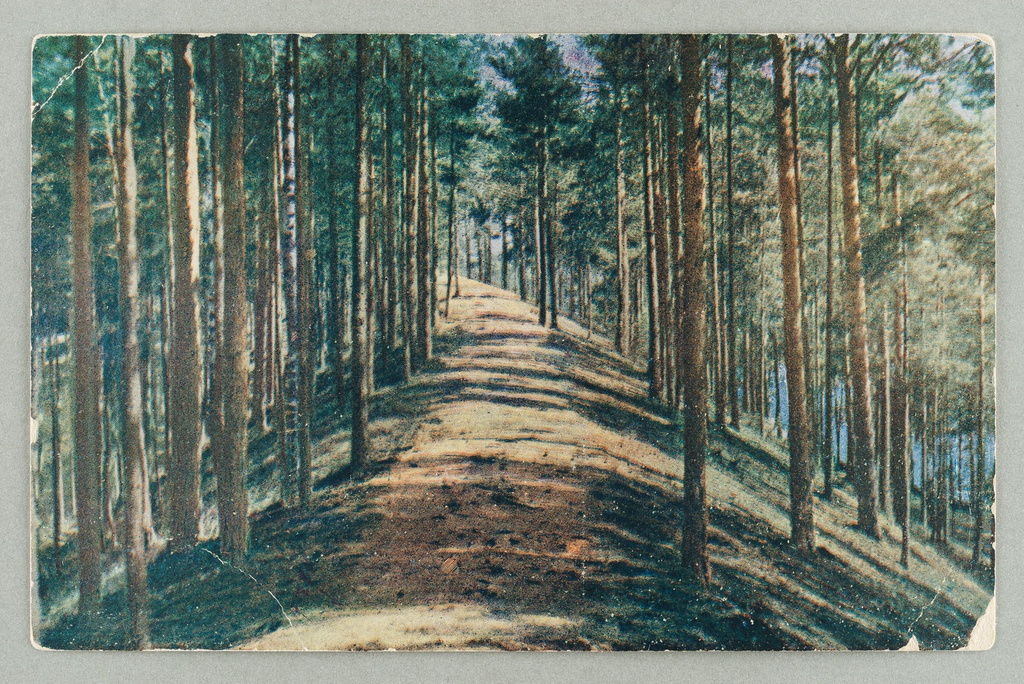 Road to the southern fire guard house (on the other)