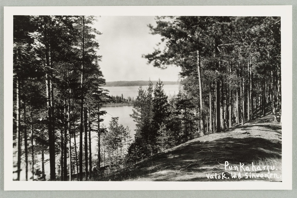 View line: Mountain of fire guards-Huosiaissaari-Pöllänselkä-Vahersalo