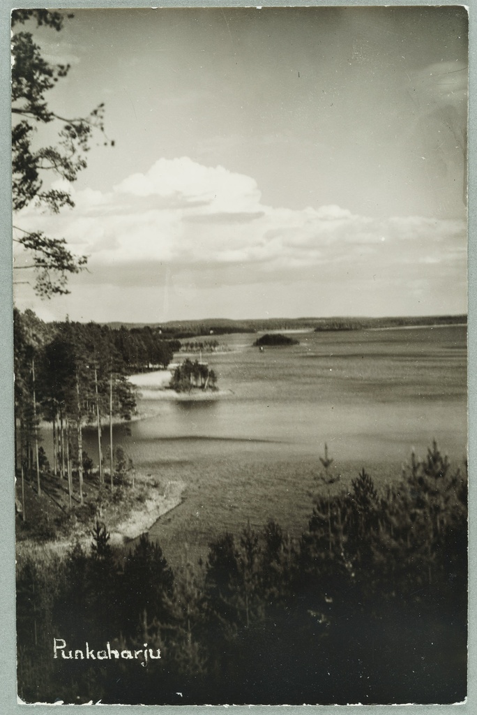 From the trainee to Laukanlahde: behind Mäntyniemi, Nuotsaari, Laukansaari
