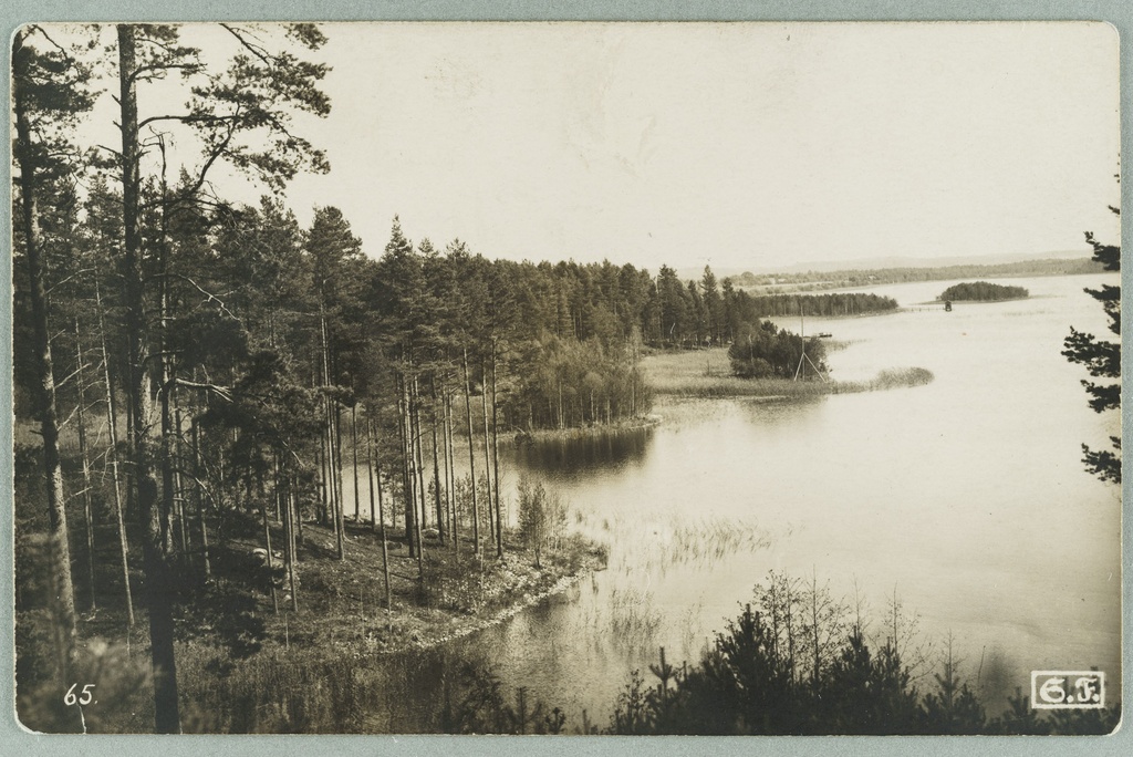 From the trainee to Laukanlahde: behind Mäntyniemi, Nuotsaari, Laukansaari