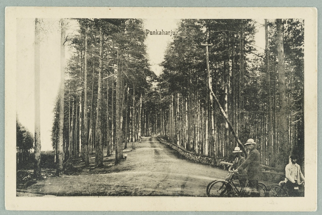 From the Valtion Hotel to the exercise: a view to the Laukanlahde