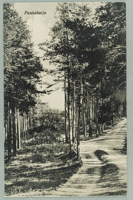 From the Valtion Hotel to the exercise: a view to the Laukanlahde  duplicate photo