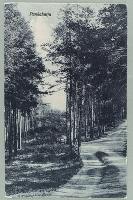 From the Valtion Hotel to the exercise: a view to the Laukanlahde  duplicate photo