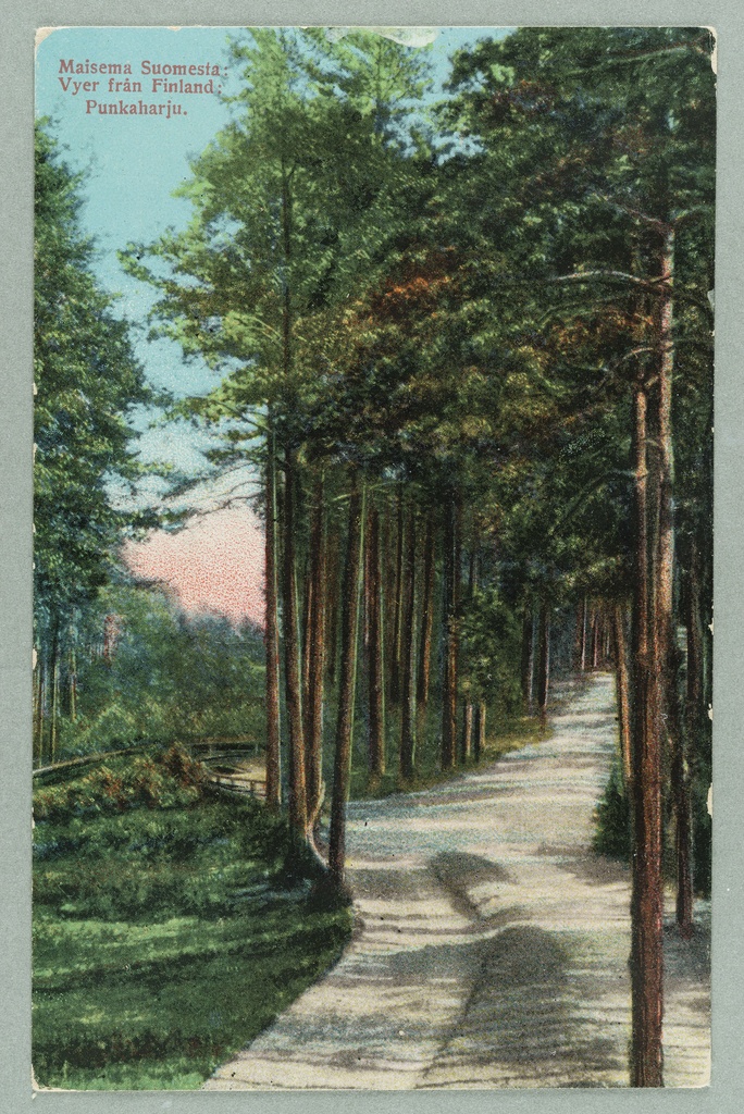 From the Valtion Hotel to the exercise: a view to the Laukanlahde