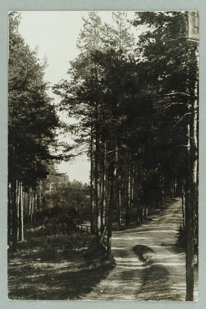 From the Valtion Hotel to the exercise: a view to the Laukanlahde