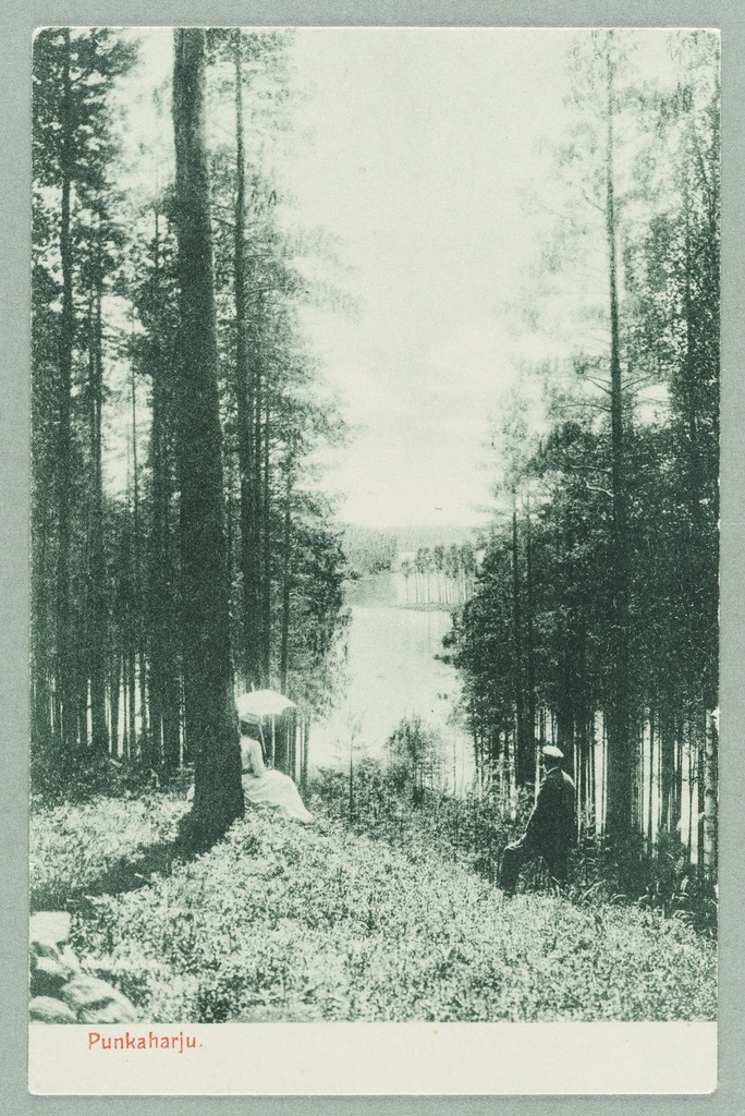 View line from harness to Kaarnalahde, Kaarnaniemi and Lammasharju