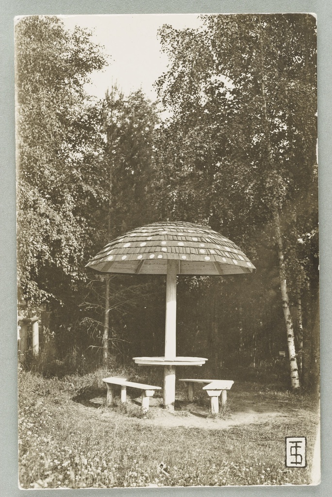 Kärpässien katting in Punkaharju Station kiosk