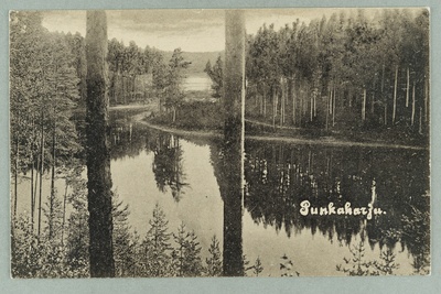 View line: Runeberg's both-Valkialampi-Taka- and Lammasharjujen väl. Canvas  duplicate photo