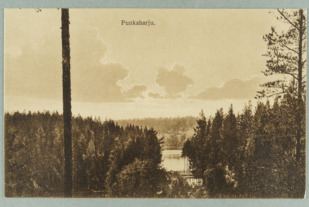 View line: Runeberg's both-Taka-and-Lammasharjujen väle. Canvas