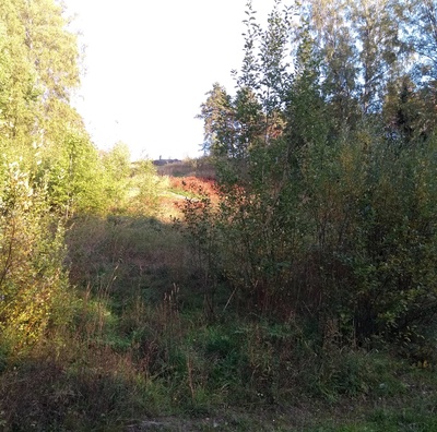 Herttoniemi dressing bracelet rephoto