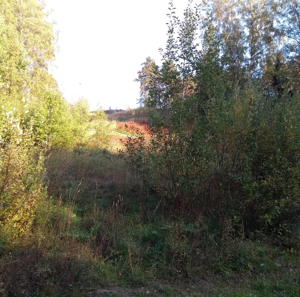 Herttoniemi dressing bracelet rephoto