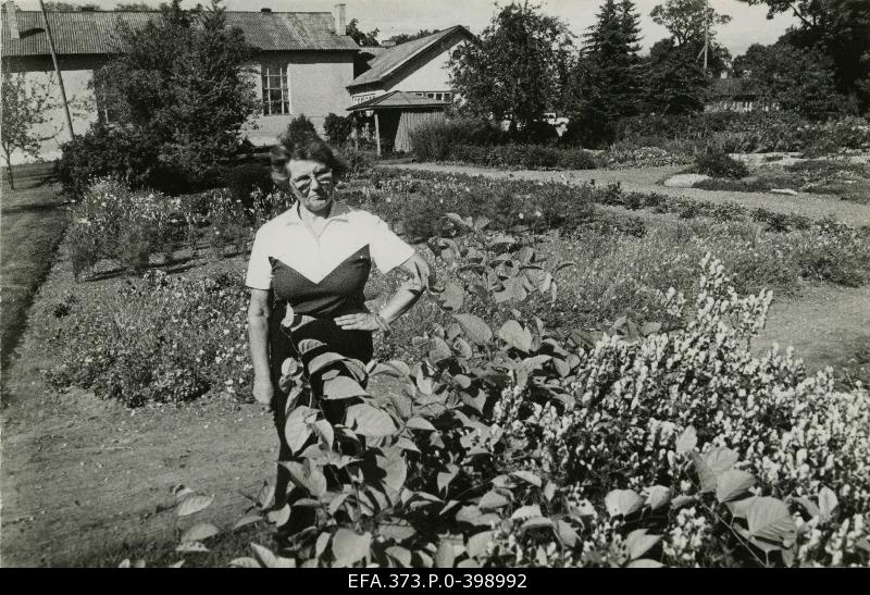 Hedvig Kokk, family member of the Nõva Basic School Garden.