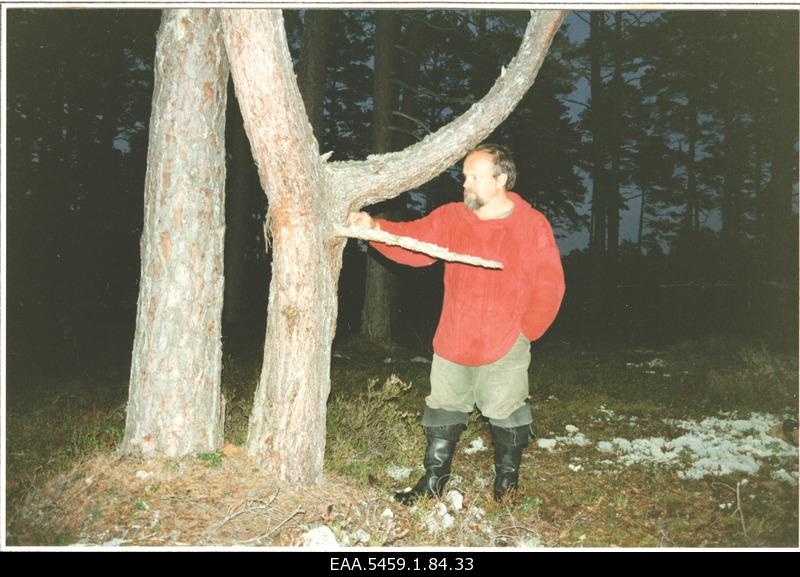 In Läänemaa, Nikolai Laanetu