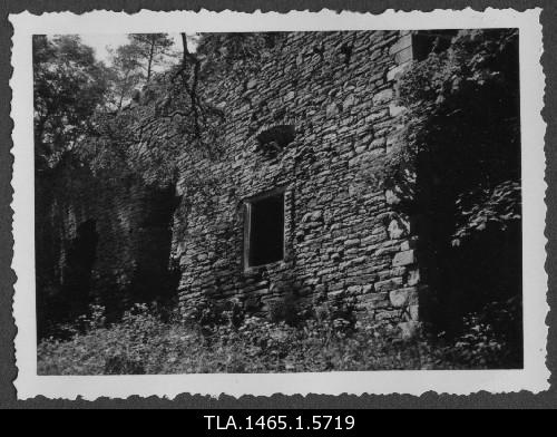 The ruins of the Padise monastery.