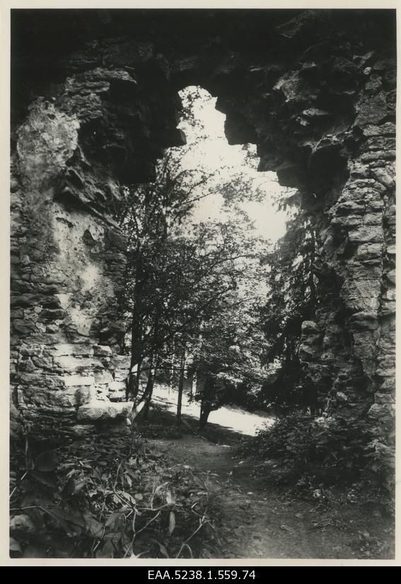 Ruins of the Padise monastery