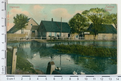 Tallinn, Tiigiveski  duplicate photo