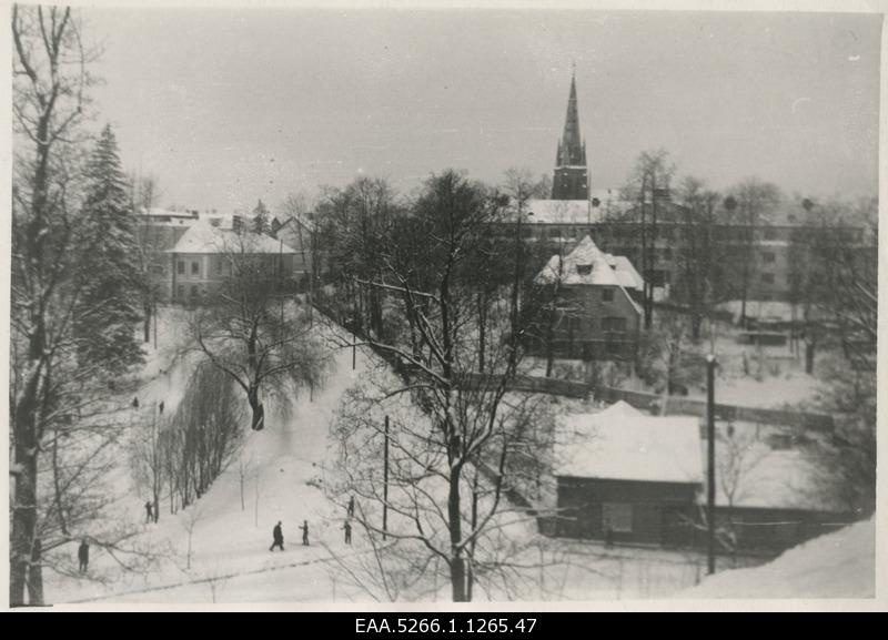 View from Toomemäki towards the Catholic Church