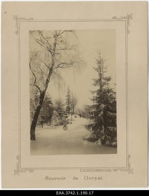The Winter of the Mount of Toome  duplicate photo
