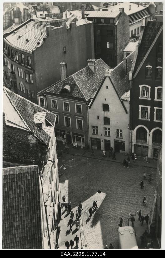 View of the high cafe Gnoom and the beginning of Viru Street