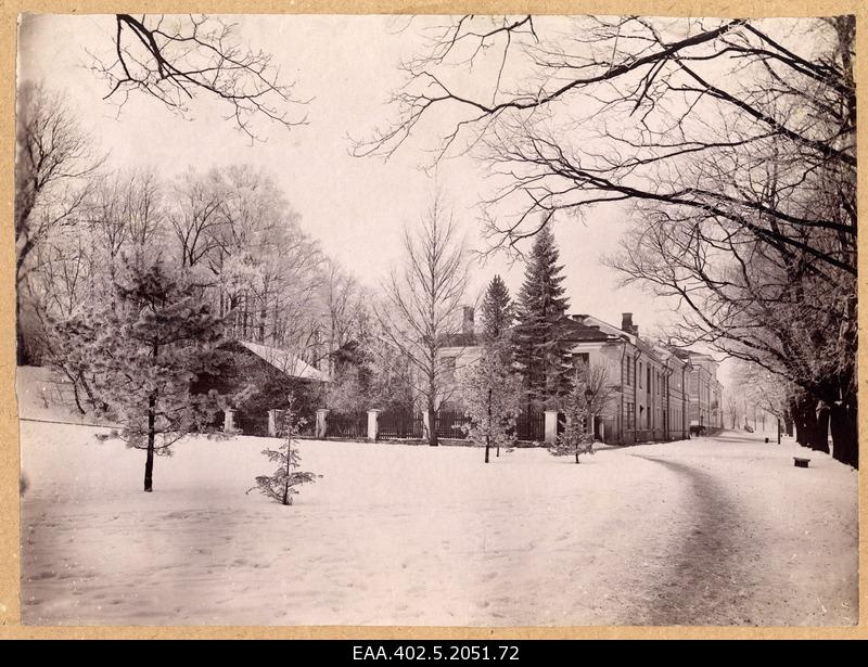 View on snow at Toomemäe birthplace