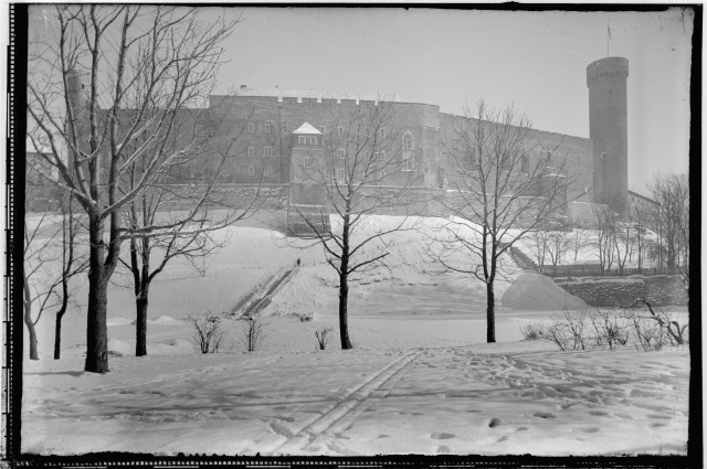 Winter view Toompea Castle