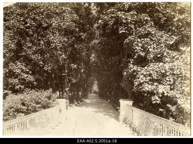 View from an English to Toomemäe. Direction to the shape of K. e von Baer