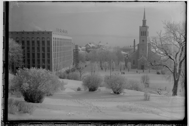 View from Harjumägi to the Freedom Square