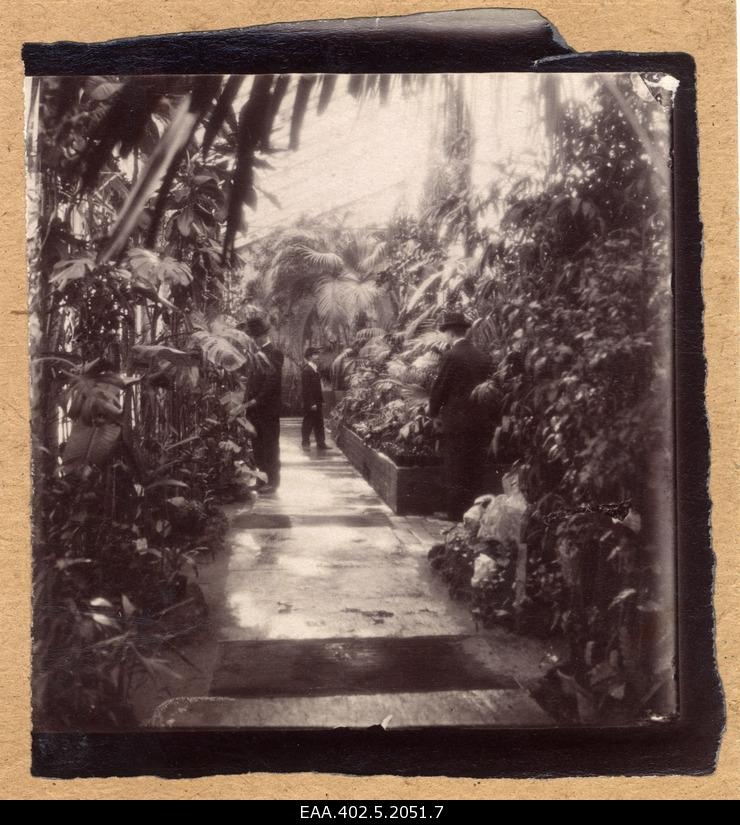 Palm building of Tartu Botanic Garden, interior view