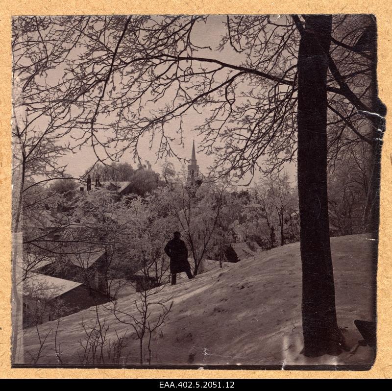 Winter view from Toomemägi to Mary Church