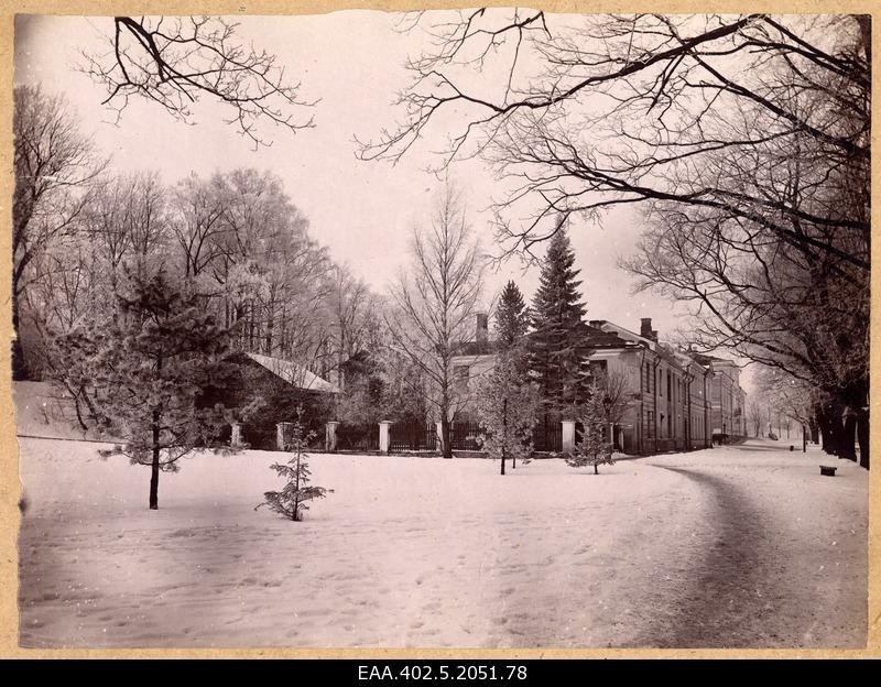 View on snow at Toomemäe birthplace