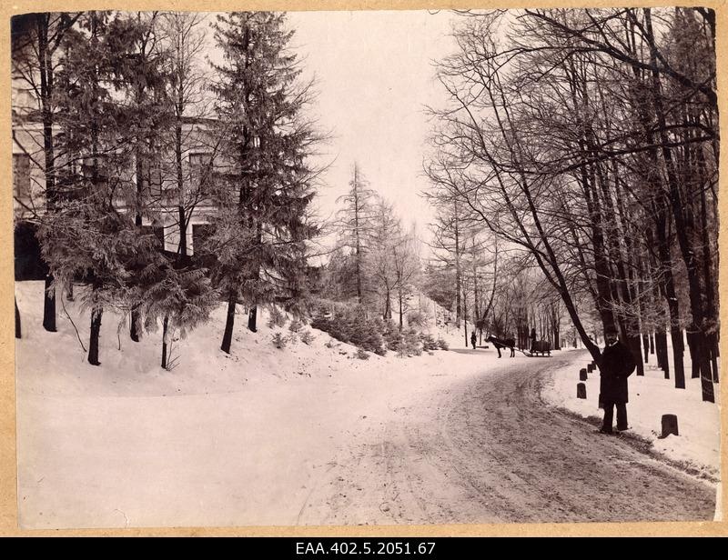 View from Toomemägi to New Anatomykum, winter