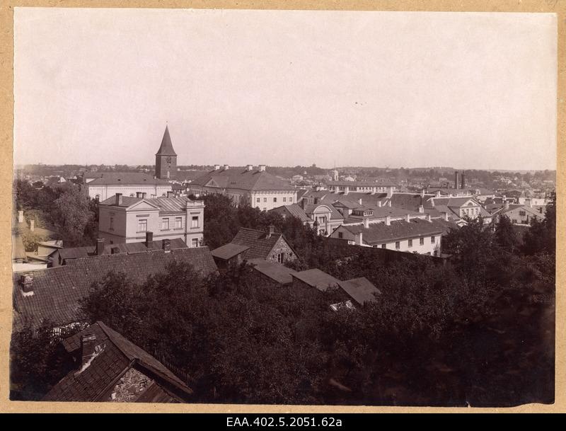 View from Toomemäe to university