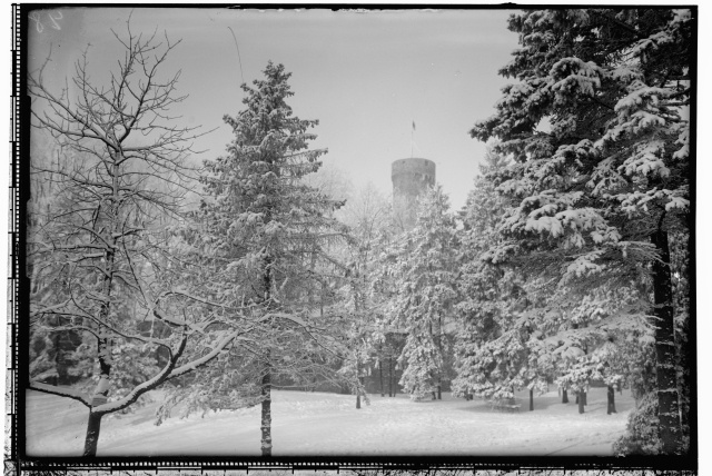 Winter view from Toompark to Pike Hermann
