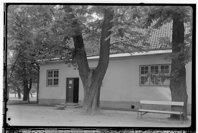 Peter's house in Kadriorg
