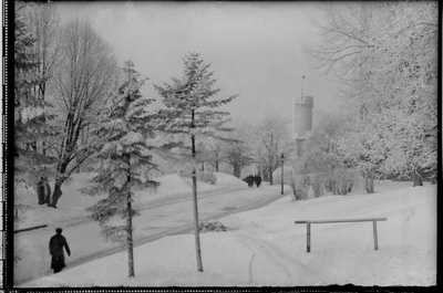 Winter view of the Commander's road and Pika Hermann  similar photo