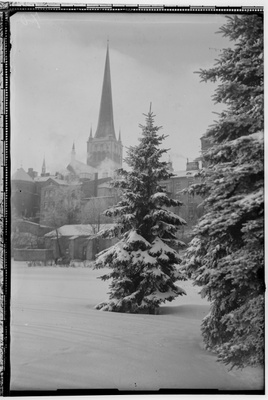 Winter park in Tallinn, at the same time the tower of the Oleviste Church  duplicate photo