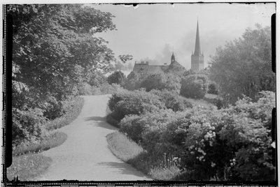 Park in Tallinn, the Olviste Church  duplicate photo