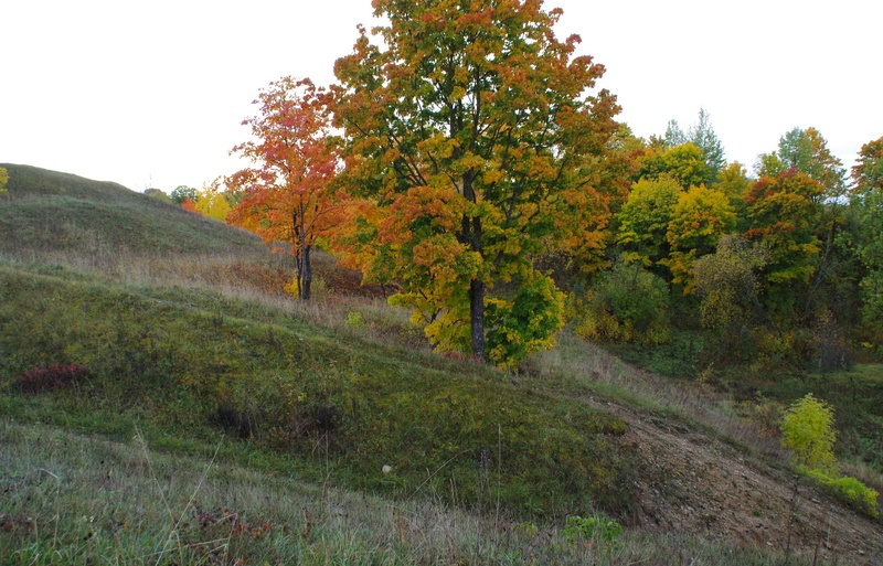 Excavation of the Vallimäe rephoto