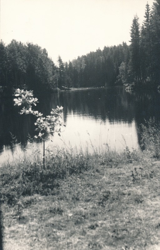 Oruveski järv