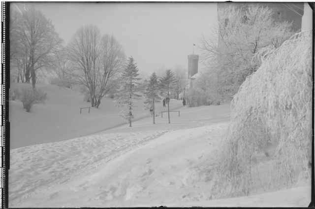 Winter view for Pick Hermann