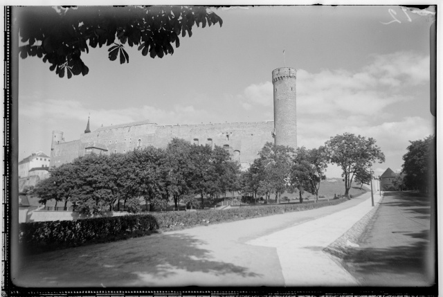 Toompea Castle and Long Hermann Falgi from the beginning of the road