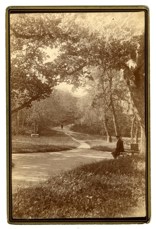 Kadriorg, in the back of the Lasnamäe column.