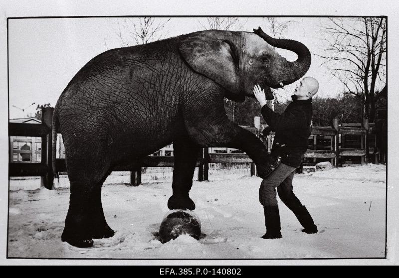 Ivo Jäik with elephant.