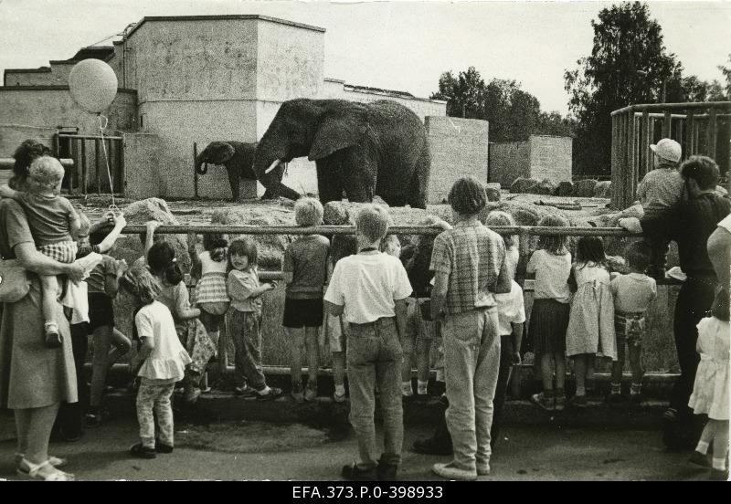 Visitors on the day of child protection at the elephant garden in Tallinn Looma Garden.