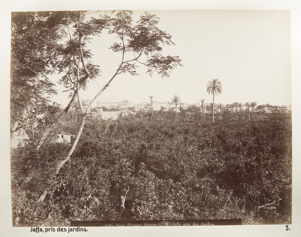 Fotografi från Jaffa - Hallwylska museet - 104340.tif