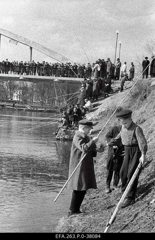 Lucky men at the Emajõe.