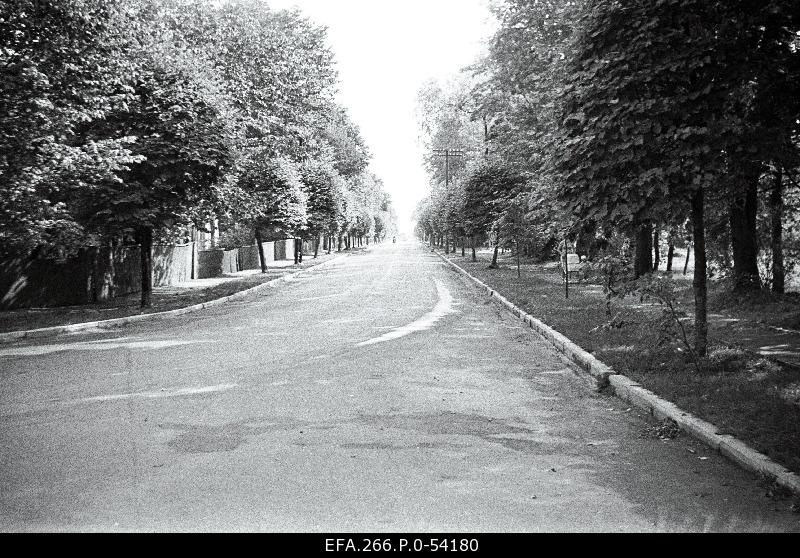 Asphalt connecting the city of Kingissepa and the port of Romassaare.